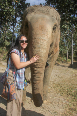 Elephant with Emilee