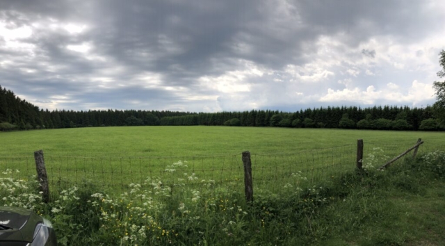 Field near Elsenborn Ridge where Henry Peavler fought